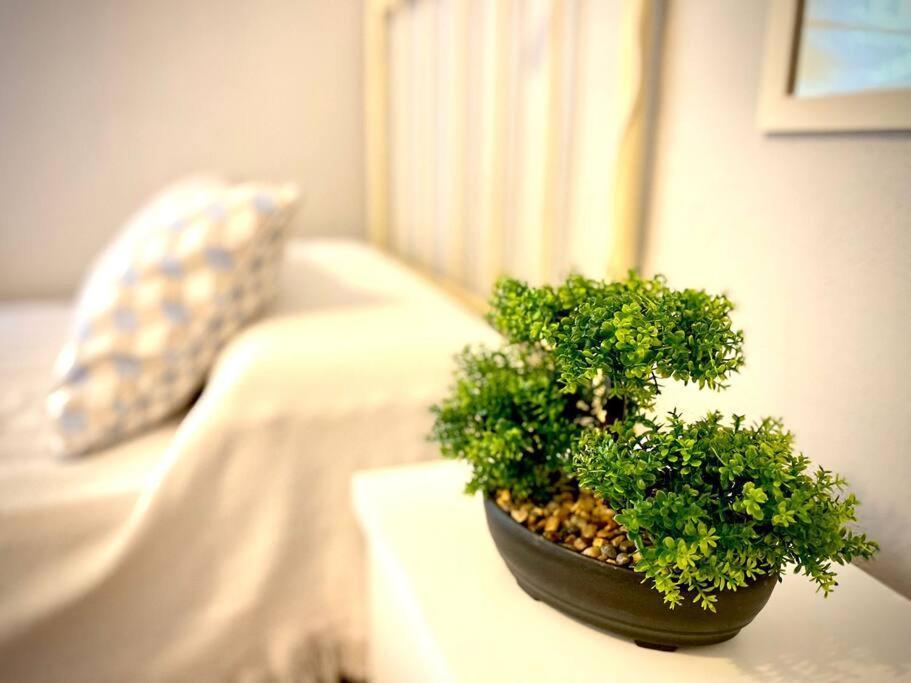 Mychoice Marina By Bossh! Apartment Rota